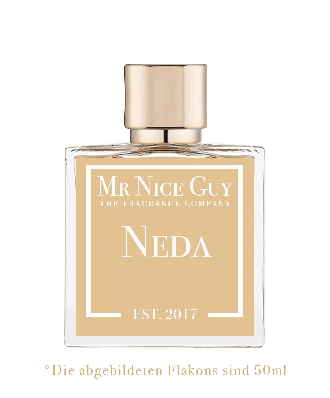 Neda - Masculin Plural