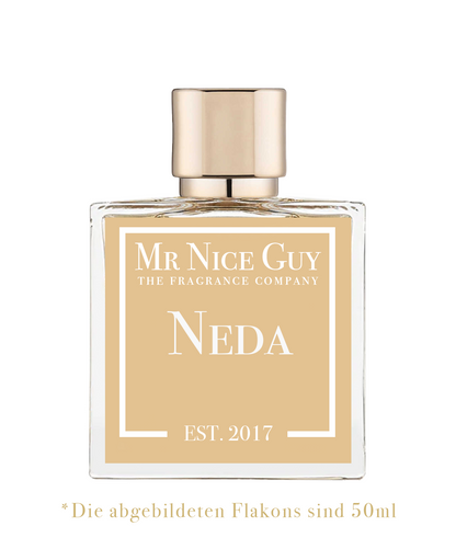 Neda - Masculin Plural