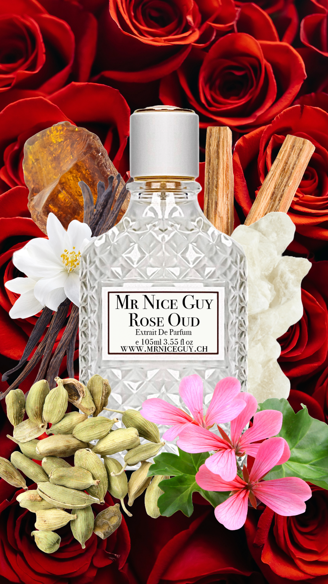 Mr Nice Guy - Rose Oud