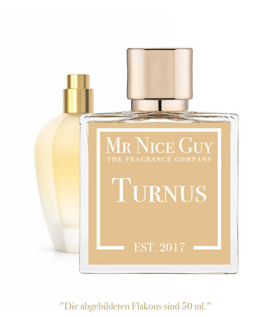 Turnus - P.33 Sketchbook